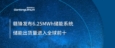 ESIE2025圓滿收官！贛鋒全新6.25MWh儲能系統(tǒng)成焦點(diǎn)，儲能出貨量進(jìn)入全球前十
